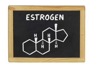 estrogen1